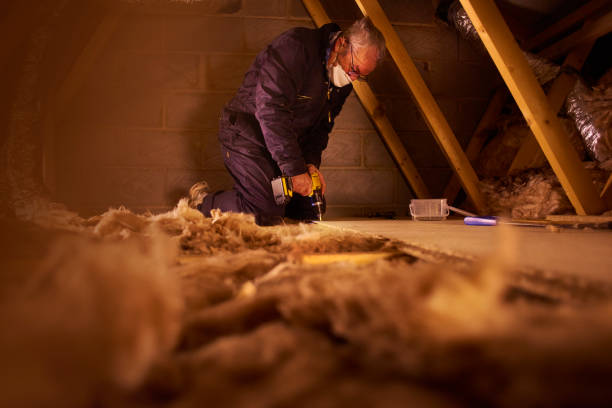 Best Blown-In Insulation  in Reisterstown, MD